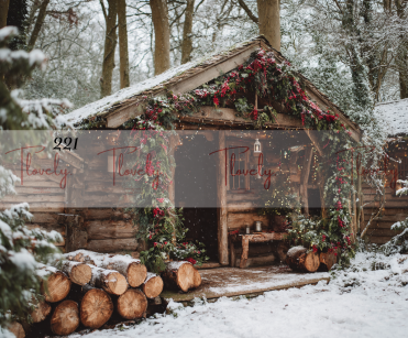 Tło Świąteczne 221