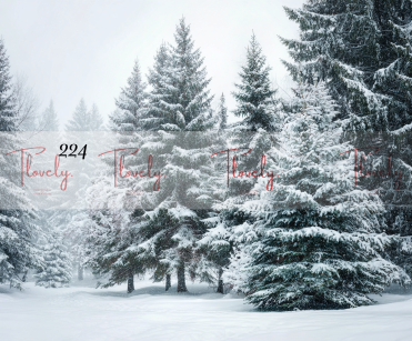 Tło Świąteczne 224