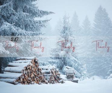 Tło Świąteczne 247